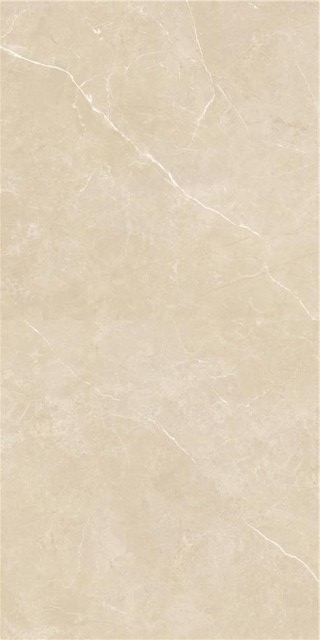 Купить STN Firenze Crema Rect 59,5x120 