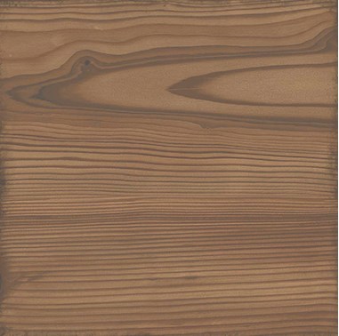 Купить Equipe Woodland Honey 20x20 