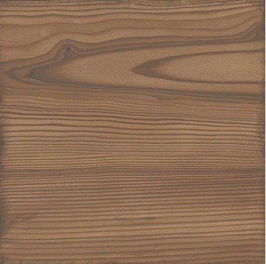 Купить Equipe Woodland Honey 20x20 