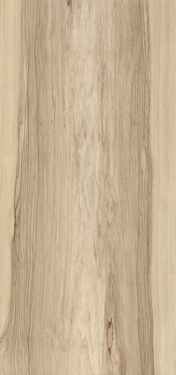 Купить Fioranese Sfrido Frake Beige 60х120 