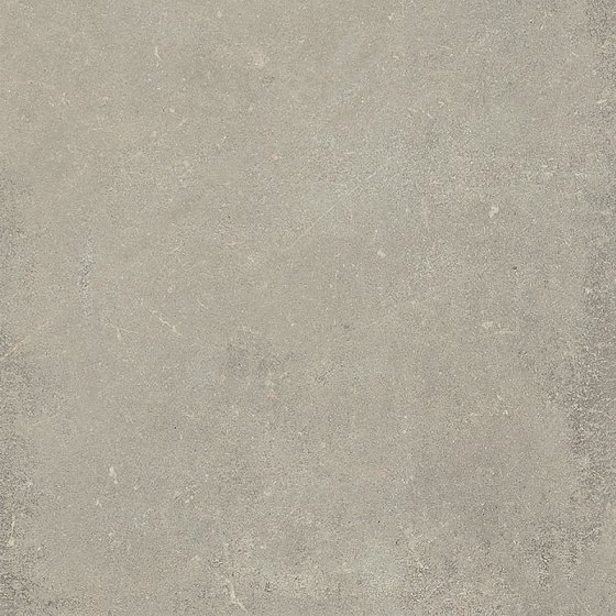 Купить Rex Espirit De Rex Neutral Gris 80х80 