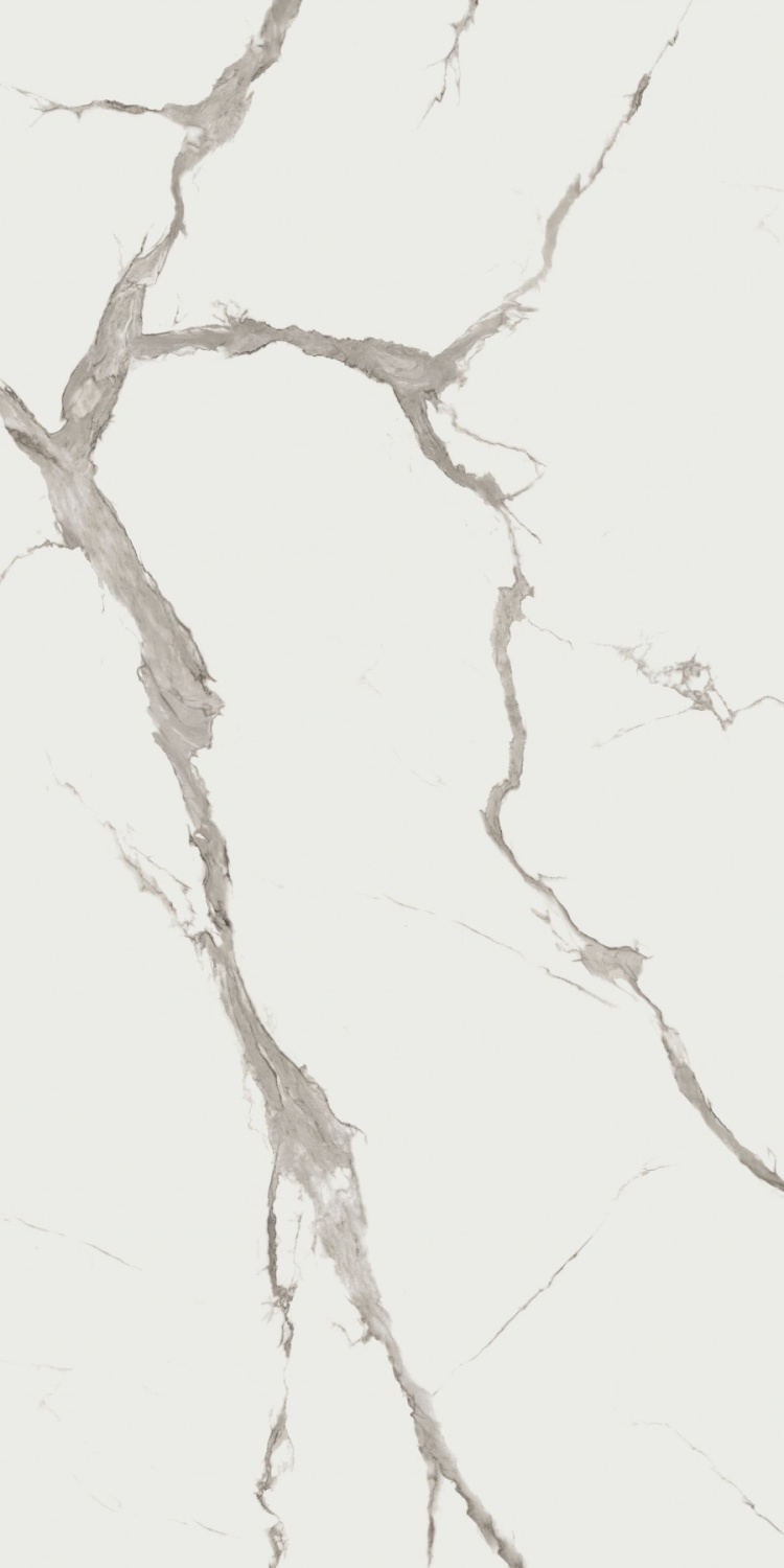 Купить Abkstone Statuario Versilia Slab B 12 mm Lux 163,5x323 