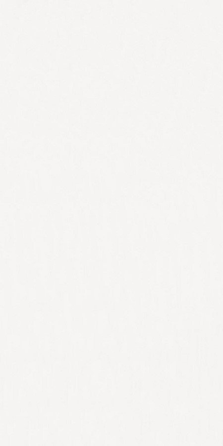 Купить Emil Ceramica Level Tinta Unita White Nat 162x324 