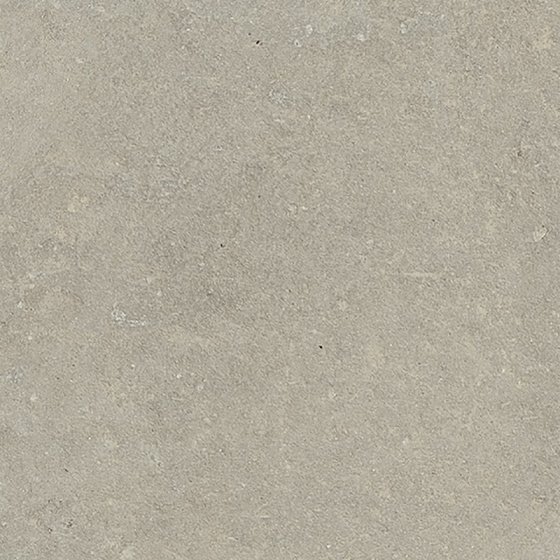 Купить Rex Espirit De Rex Neutral Gris 60х60 