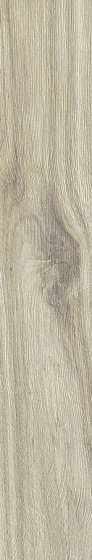 Купить Rex Planches de Rex Amande Strutturato 20х120 