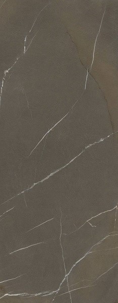 Купить Laminam In-Side Pietra Piasentina Taupe Fiam 5.6 mm 120×300 