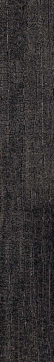 Купить Roberto Cavalli The Wild Spirit Wood Effect- Wood Noir NT RT 26,5x180 