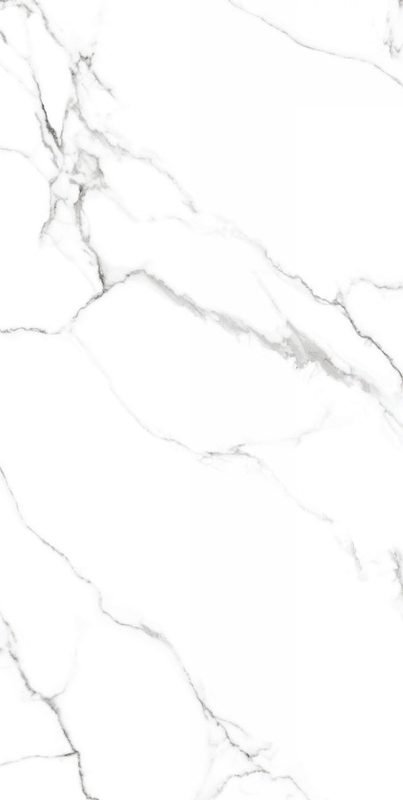 Купить Neodom Massimo Mckinley Polished 80x160 