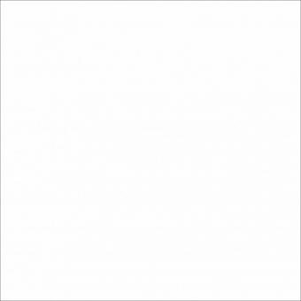 Купить Laminam Collection Bianco Assoluto 5.6 mm 100x300 