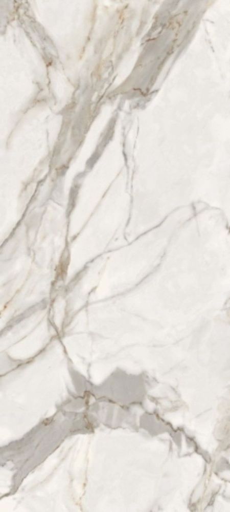 Купить Neodom Titanium Alpe Di Siusi Polished 120x280 