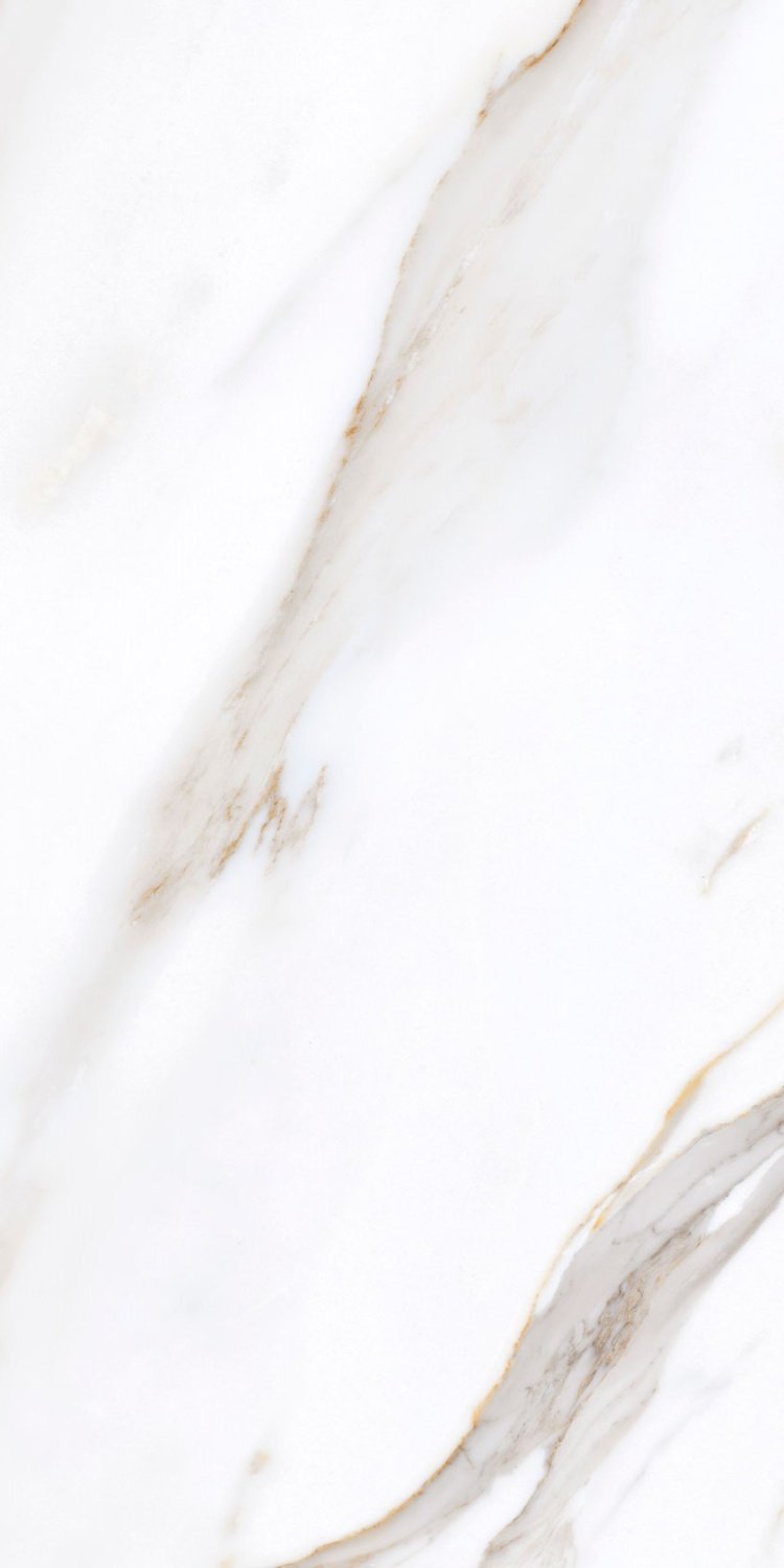 Купить Gayafores Calacatta Gold 60x120 
