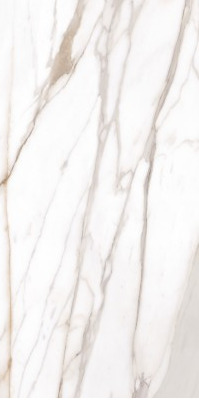 Купить Emil Tele Di Marmo Reloaded Calacatta Gold Canova Lappato 60x120 