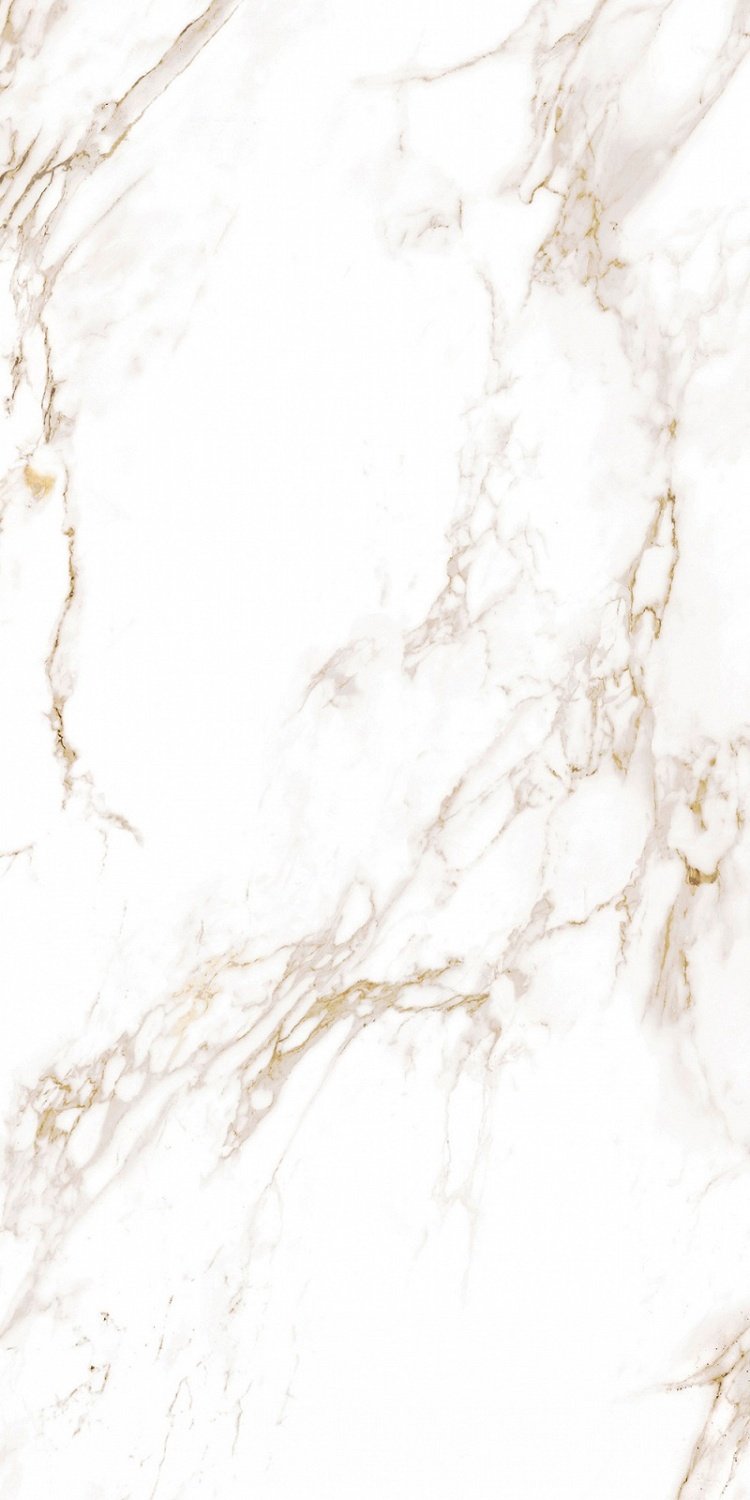 Купить Emotion Snow Gold Pulido Rect 60x120 