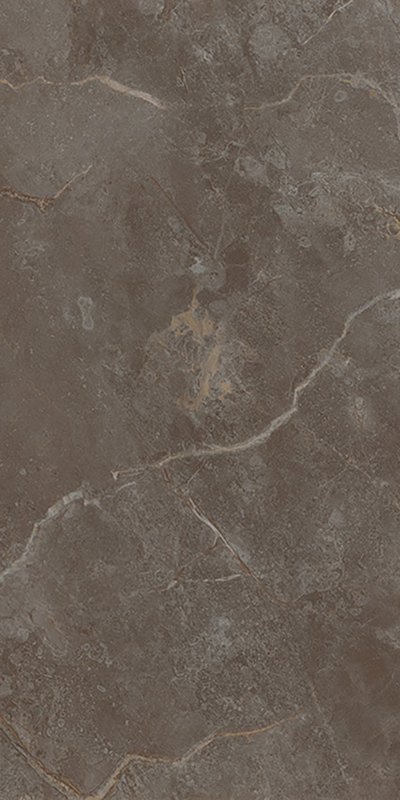 Купить Fap Ceramiche Roma Stone Pietra Brown Matt R9  60×120 