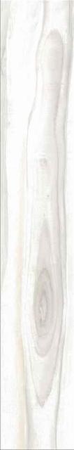 Купить Stylnul (STN) Dreamwood Blanco 23x120 