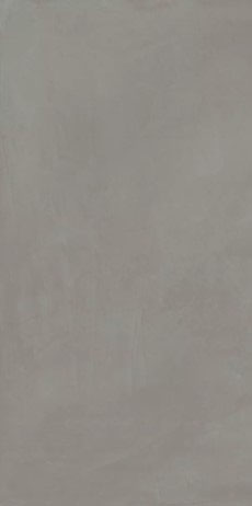 Купить Fioranese Schegge Cenere 60x120 