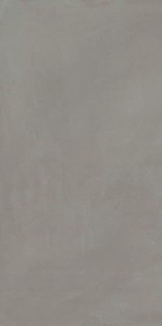 Купить Fioranese Schegge Cenere 60x120 