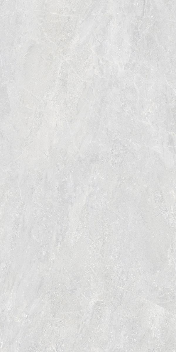 Купить Emigres Trento Gris Porcelanico 60x120 