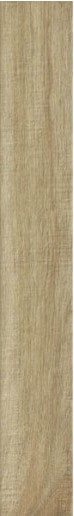 Купить Ragno Woodglam Naturale 10х70 