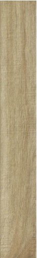 Купить Ragno Woodglam Naturale 10х70 