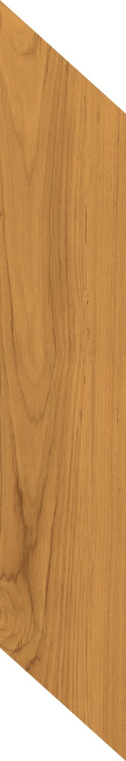 Купить Caesar Fabula Theca Chevron RT 20x100 