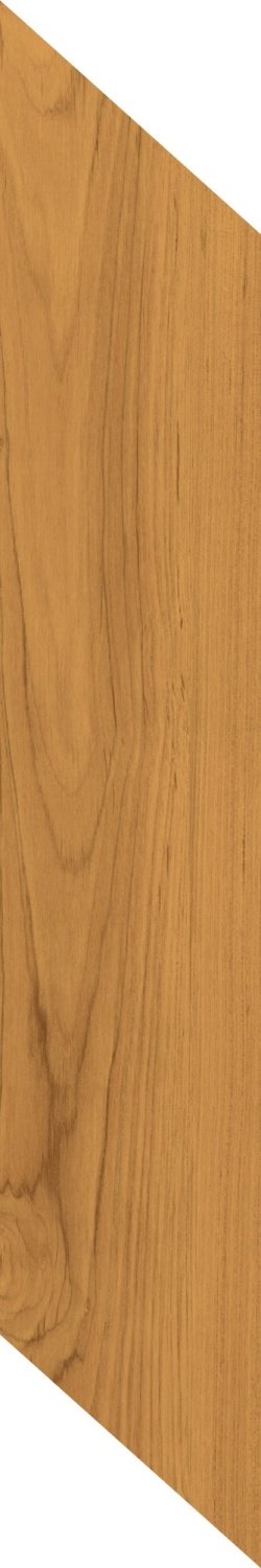 Купить Caesar Fabula Theca Chevron RT 20x100 