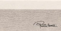 Купить Roberto Cavalli Tanduk Alzata Conchiglia Firma 10x19,8 