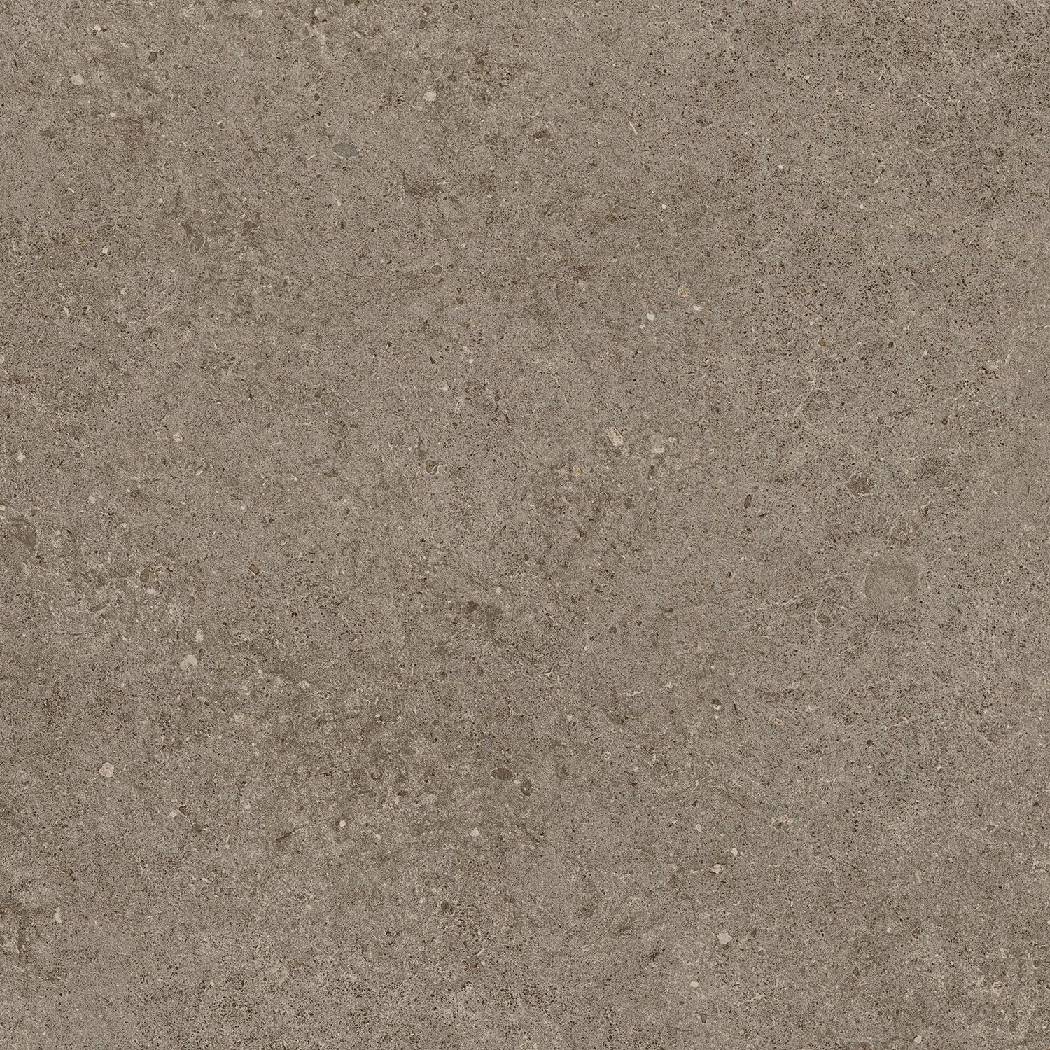 Купить Atlas Concorde Boost Stone Taupe 60x60 