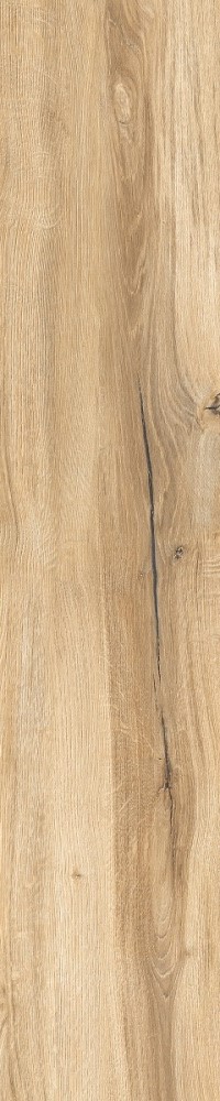 Купить RHS Daring Honey  24×120 