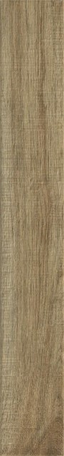 Купить Ragno Woodglam Tortora 10х70 