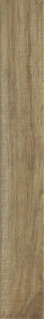 Купить Ragno Woodglam Tortora 10х70 