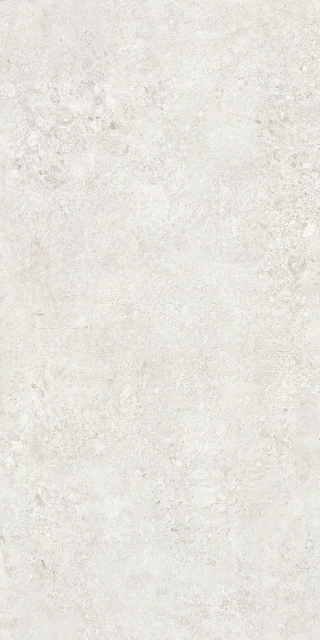 Купить NT Ceramic Terrazzo TZ612NTT9501L 60x120 