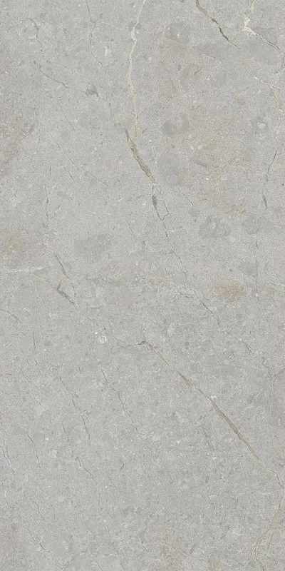 Купить Art&Natura Ceramica Una Pietra Gris Rustic Carving 60x120 