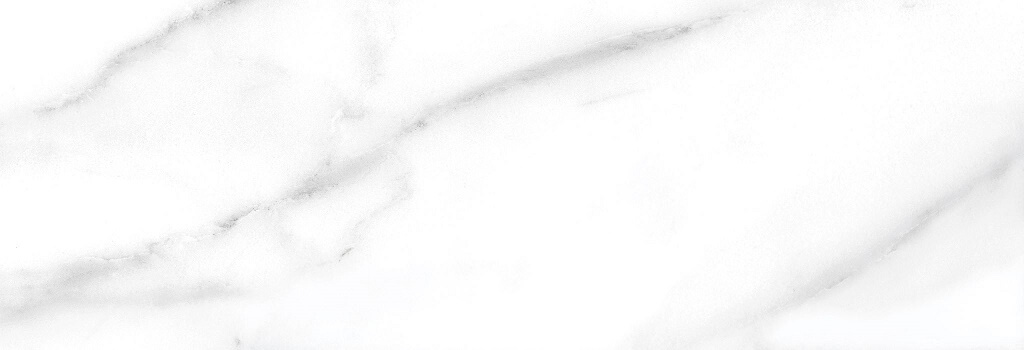 Купить Saloni Akros Rev. Ateneo Blanco Brillo 40x120 