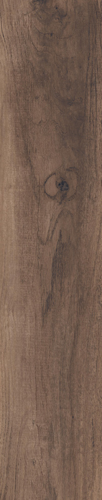 Купить RHS Aspen Brown 20,5х100 