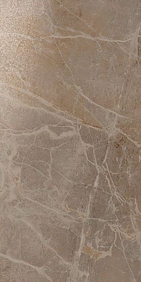 Купить Atlas Concorde Privilege Grigio Lapp 60х120 