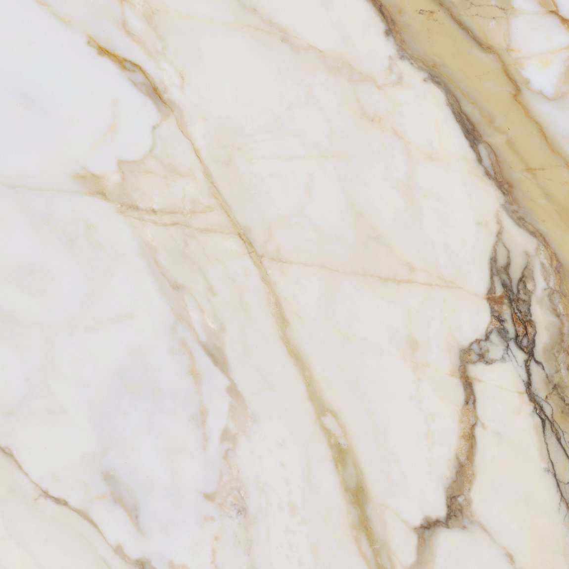 Купить Argenta Midas Natural RC 60x60 