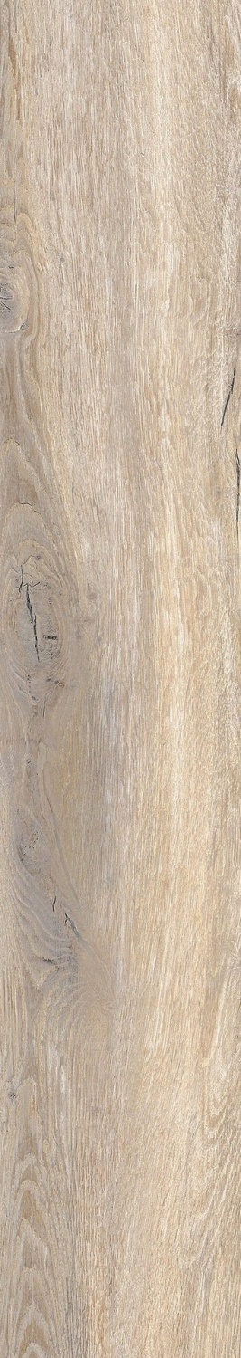 Купить Monocibec Woodtime Castagno Naturale Rettificato 20x120 