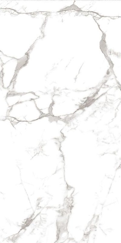 Купить Art&Natura Ceramica Marmo Calacatta Vagli Super White Glossy 60x120 