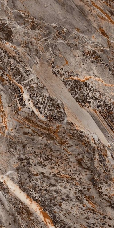 Купить Seron Fossil Natural 60х120 
