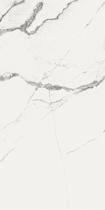 Купить Fanal Pulido NPlus New Ice White 60x120 