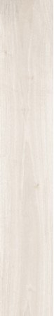Купить Cerdomus Privè Ivory Rettificato 20x120 