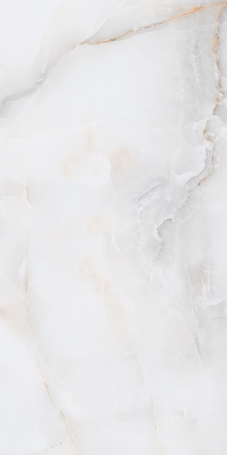 Купить Neodom Onix Pro Bianco Polished 60x120 