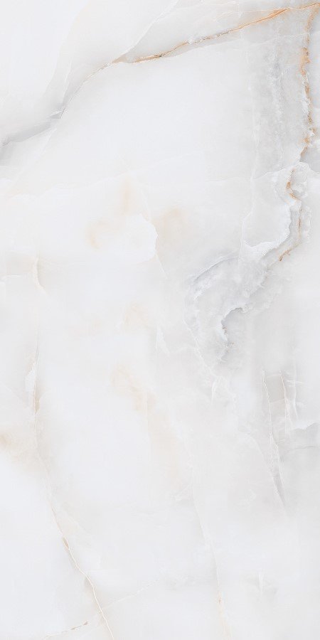 Купить Neodom Onix Pro Bianco Polished 60x120 