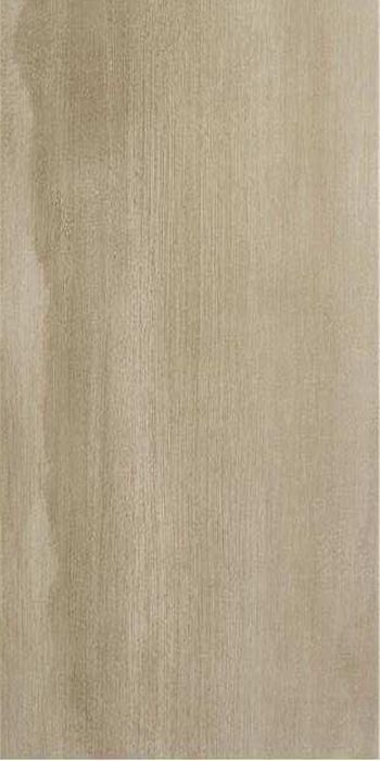 Купить Stylnul (STN) Evolve Brown 60x120 
