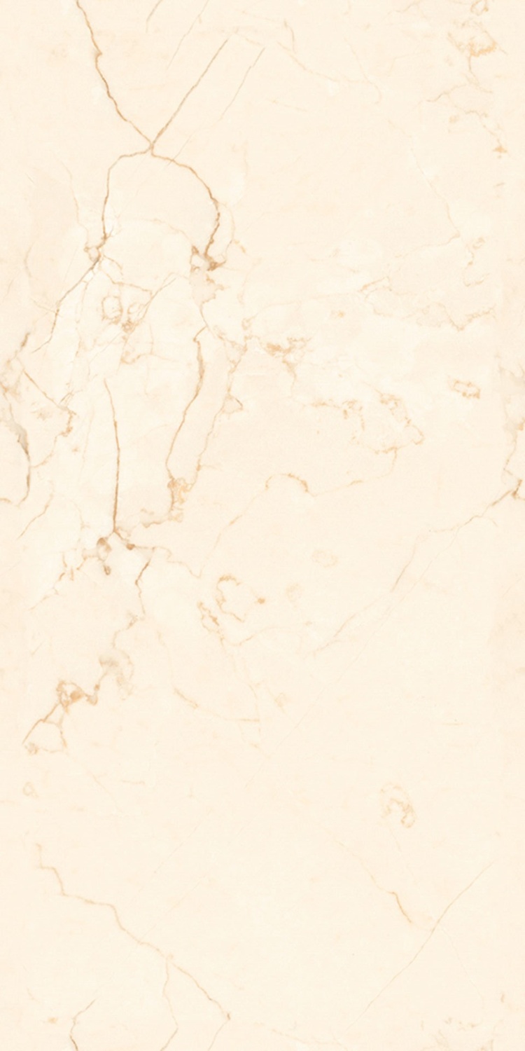 Купить Velsaa Adwa Crema Carving 60x120 