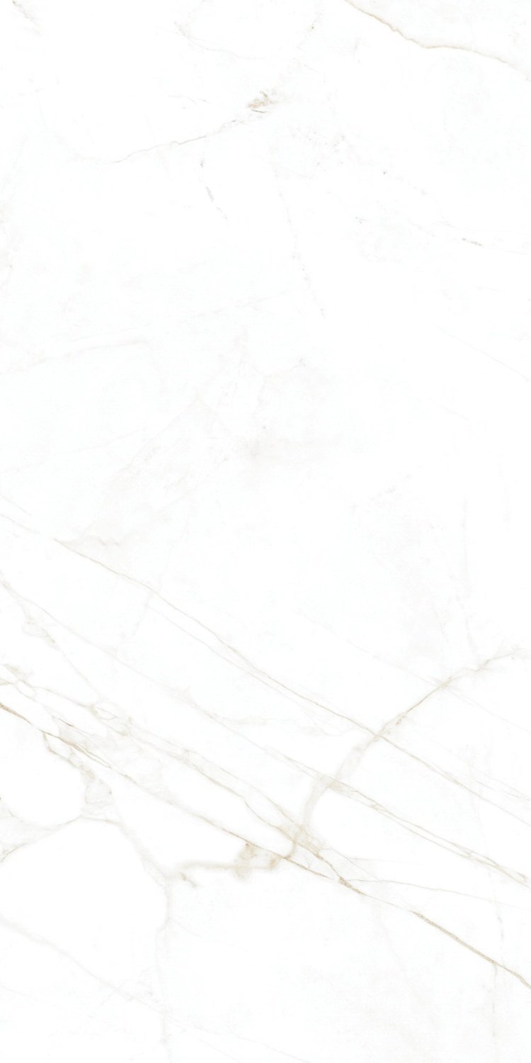 Купить Museum Dual White NT R 60x120 