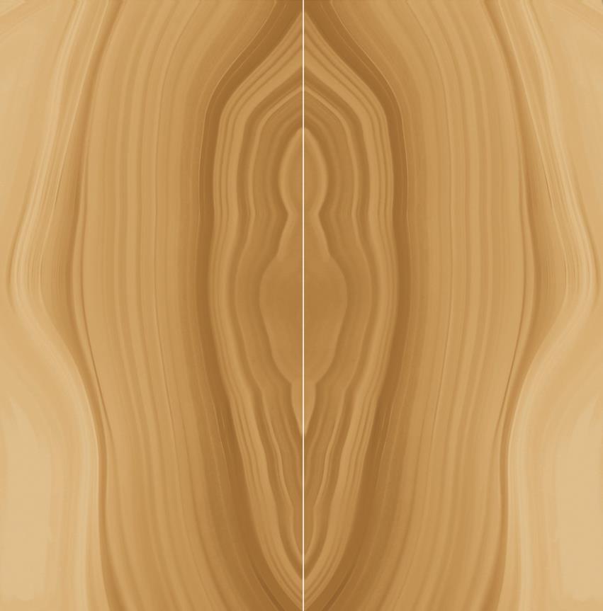 Купить Ceracasa Absolute Deco Symmetry 2pz Ambar 98,2x98,2 