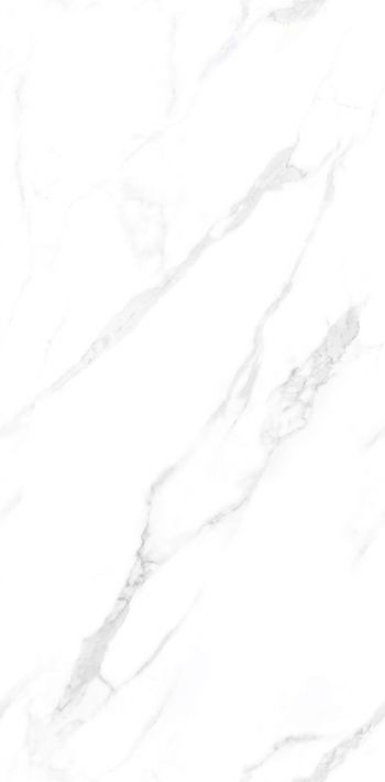 Купить NT Ceramic Statuario Endless NTT99506P 60x120 