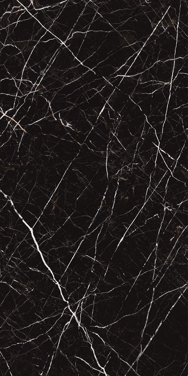Купить Idalgo Pietra Black MR 60x120 